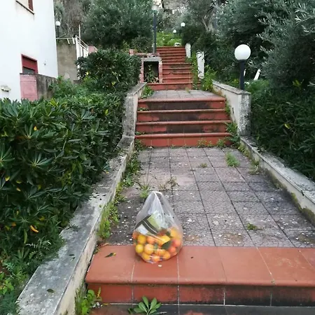 Casa rural Grazia - Casa Priscilla Palermo