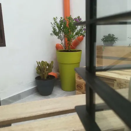 Sofia Pretty Appartament Prázdninový dům Palermo