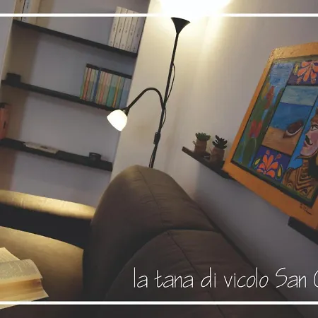 La Tana Di Vicolo San Carlo Apartment