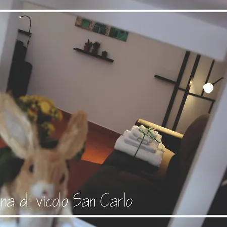La Tana Di Vicolo San Carlo Apartment *
