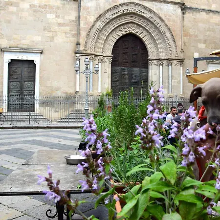 La Tana Di Vicolo San Carlo *
