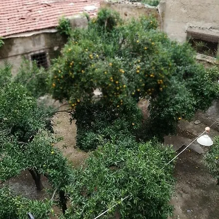 Amaranta * Palermo