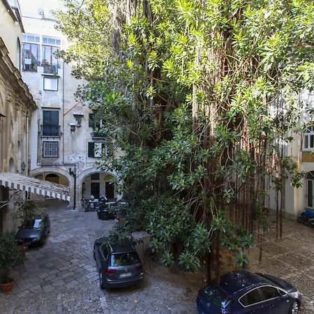 Amuni * Palermo