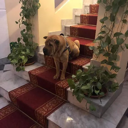Al Piazza Marina Palace 2*