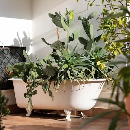 Il Giardino Di Ballaro Boutique Bed & Breakfast Palermo