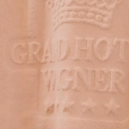 Hotel Grand Wagner Palerme