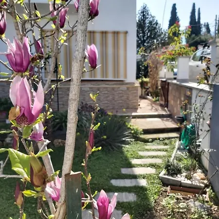 Hébergement de vacances La Perla Della Conca D'oro Palerme