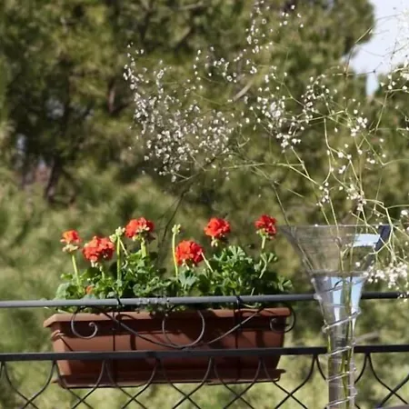 Giardino 4* باليرمو