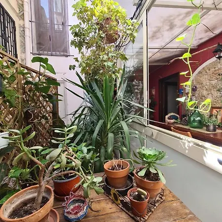 Alberto's Affittacamere Palermo