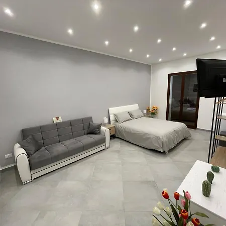 Baron's Guest house *