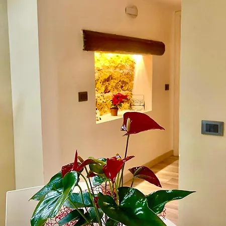 Apartment A Centro Vicino Stazione Mercato E Attrazioni *