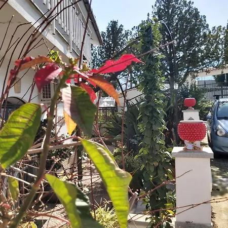 La Perla Della Conca D'oro Hébergement de vacances Palerme
