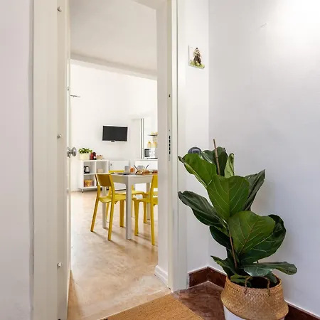 Agata E Rosalia 2 Bedroom Flat At The Quattro Canti Apartment Palermo