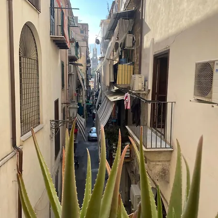 L'arciduca * Palermo