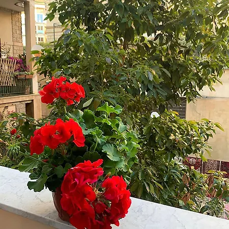 Ermosa Pensión Palermo