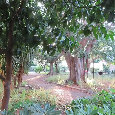 شقة Relax Nel Verde- Giodapi Palm