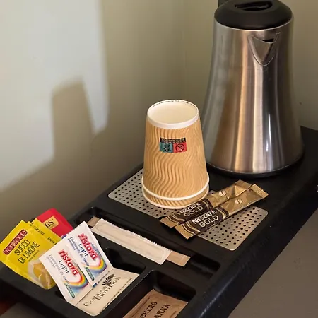酒店 皮萨伯莎大酒店 巴勒莫