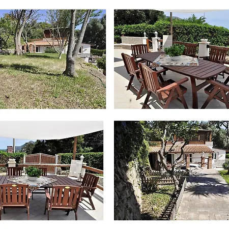 Small Paradise باليرمو