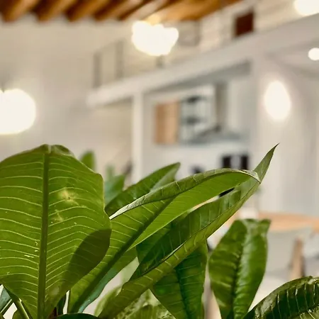 Boutique Pensión