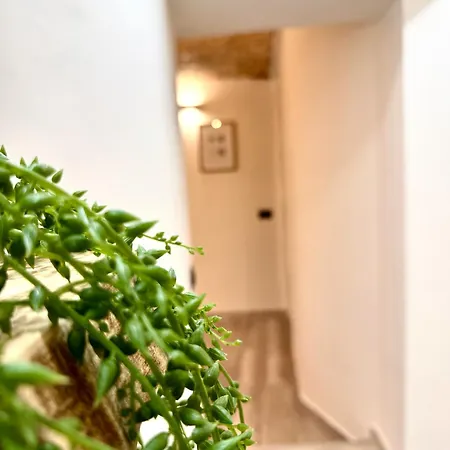 A Centro Vicino Stazione Mercato E Attrazioni Apartment Palermo
