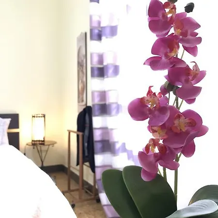 Bed & Breakfast Politeama Square Palermo