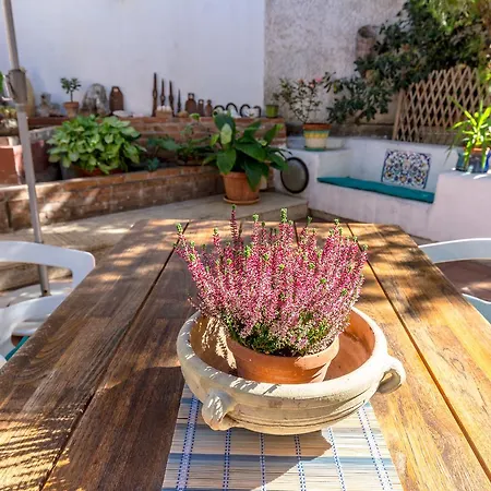 公寓 Casa Perseo A Mondello