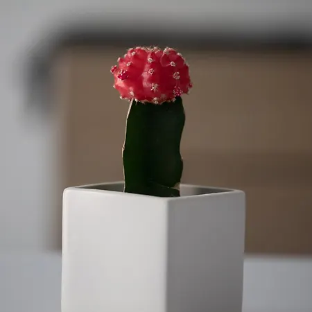 Panzió Le Quattro Stagioni - & 2*