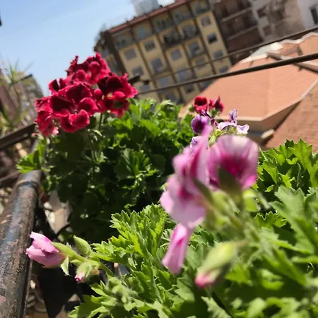 Politeama Square