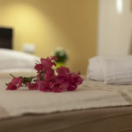Bed & Breakfast Piazza Marina