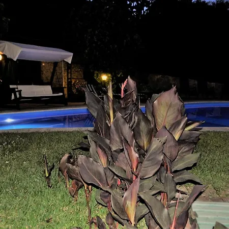 Villa Sis Holiday Private Palermo