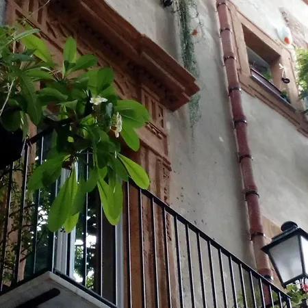 Arimatea Casa Apartment *