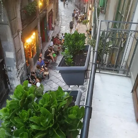San Francesco And With Terrace In Locazione Turistica 2*