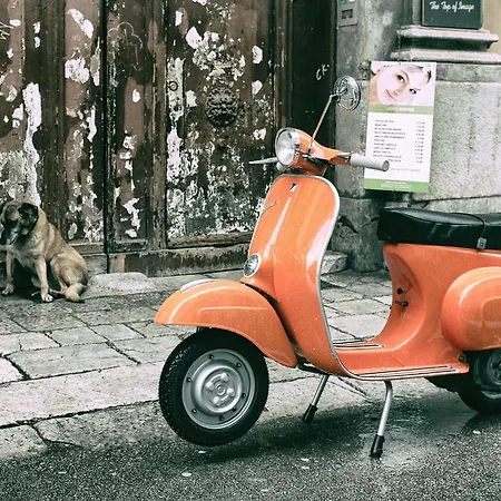 Pensionat Vespa Palermo