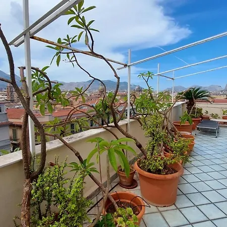 Settimocielo * Palermo