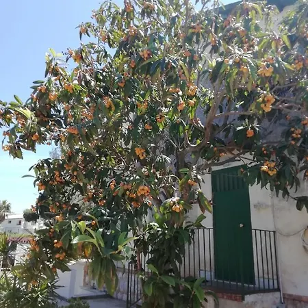 Serrano