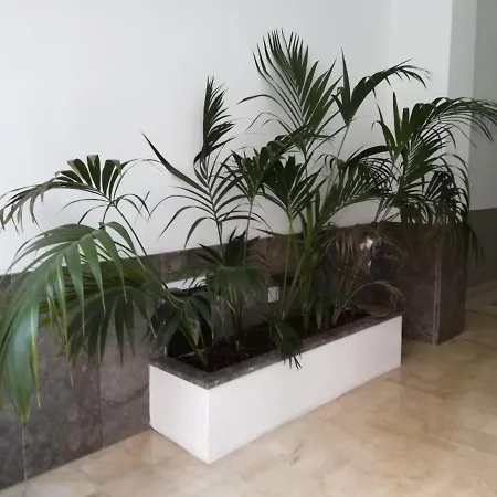 Centro Citta Basement *