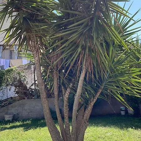 Casa vacanze Casa Palermo