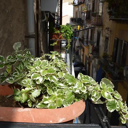 Futtitinni Casamia * Palermo