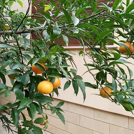 فندق مبيت وإفطار Giardino Delle Arance Luxury *