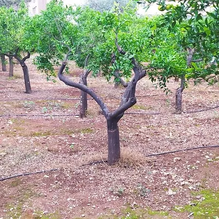 Giardino Delle Arance Luxury * باليرمو
