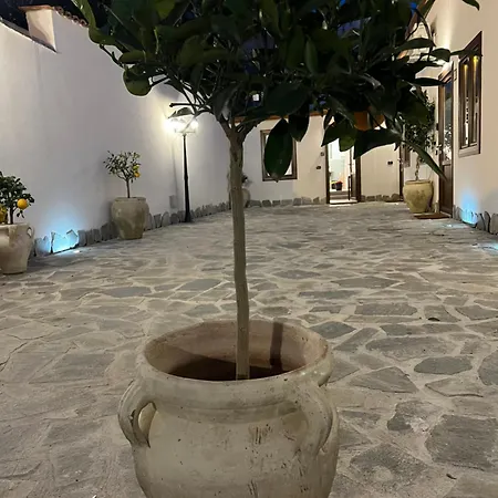 Cedros Appartement Palerme