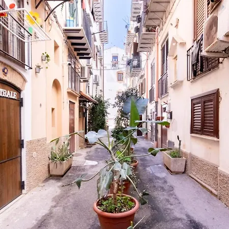 Talia - And Elegant In The Heart Of Affittacamere *