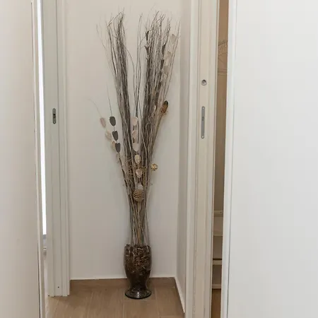 Appartamento Ludo House - Charming Con Patio A Due Passi Dalla Cattedrale