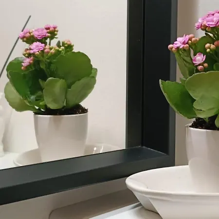 Apartment Eleganza In Centro Citta *