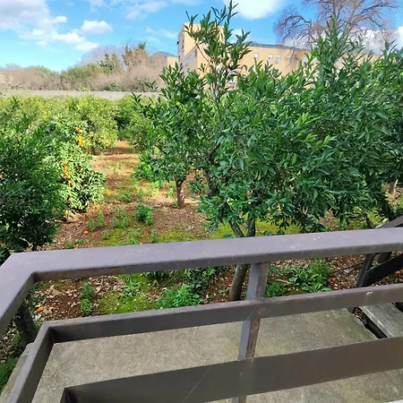 Giardino Delle Arance Luxury باليرمو