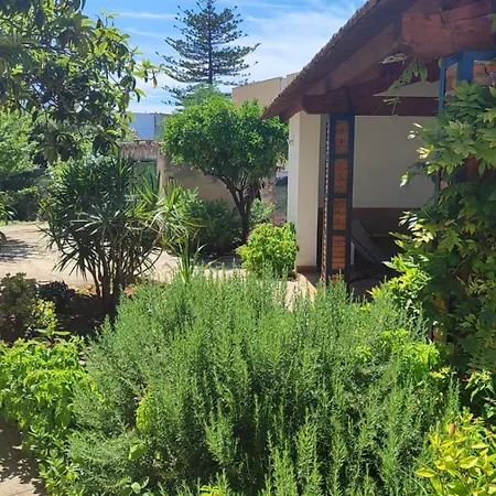 Serrano Palermo