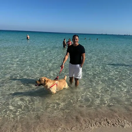 Сasa de vacaciones Ninni House