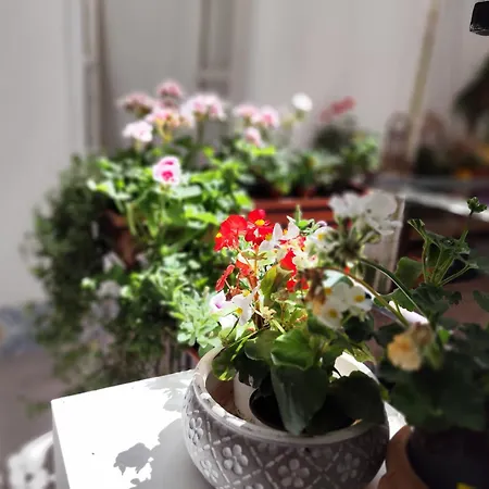 Ciclopi 招待所 巴勒莫