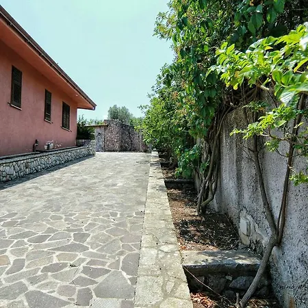 Paradiso Terrestre *