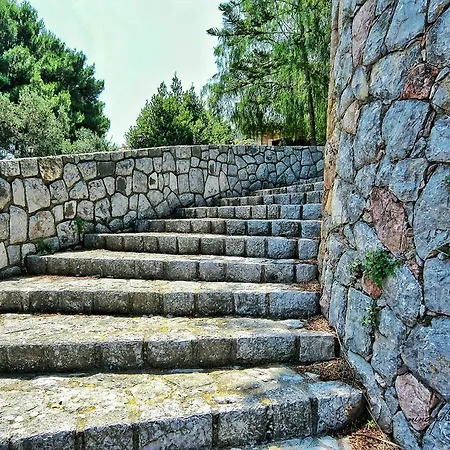 Paradiso Terrestre * Palermo